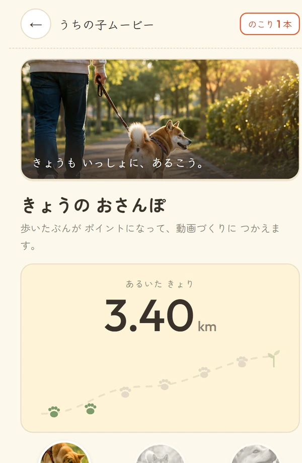 おさんぽの画面。歩いた距離とポイントが表示されている
